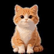 桌宠猫